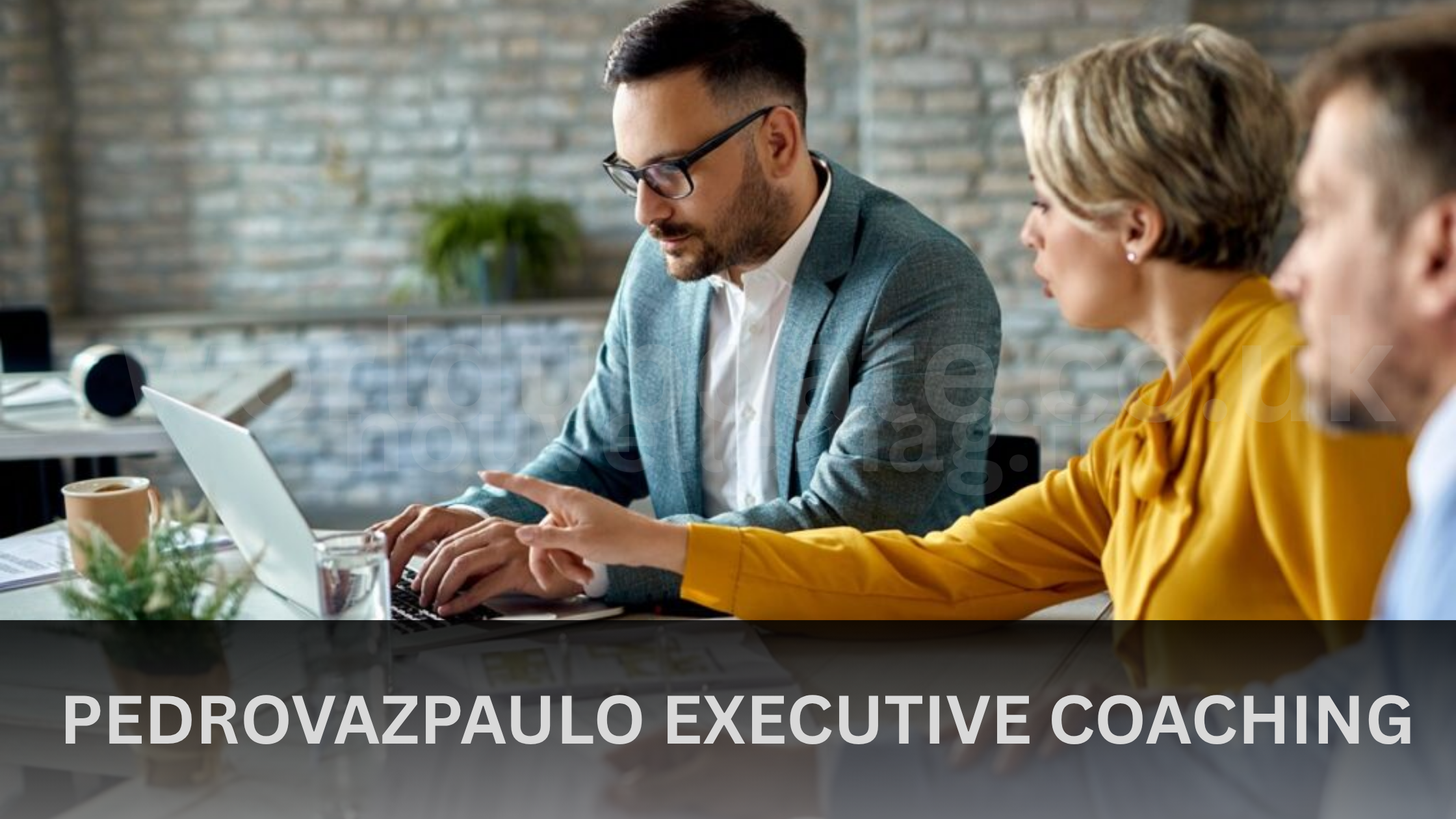 Pedrovazpaulo Executive Coaching: Grow as a Leader